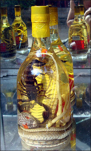 20111101-Wikicommons  Snake scorpion wine 2.jpg